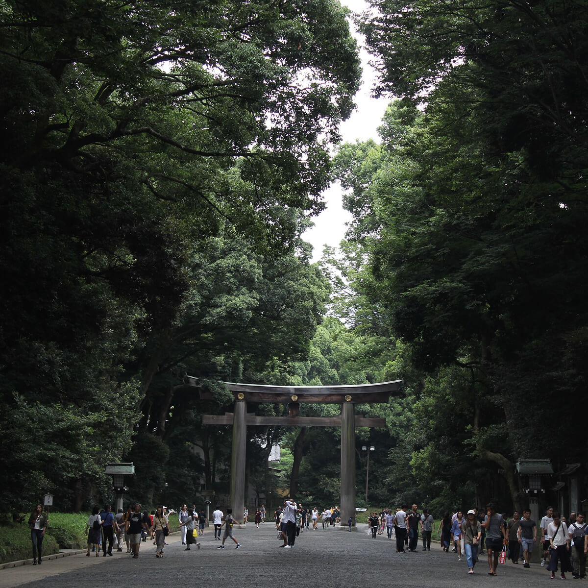 Yoyogi park Tokio